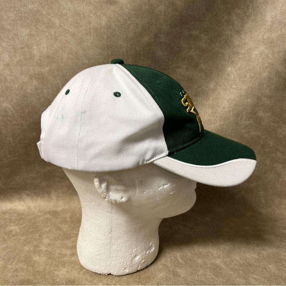 Dallas Stars Hat NHL Melon Passed Test w/Adjustable back - Picture 2 of 7